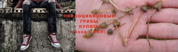 прущие грибы Снежинск