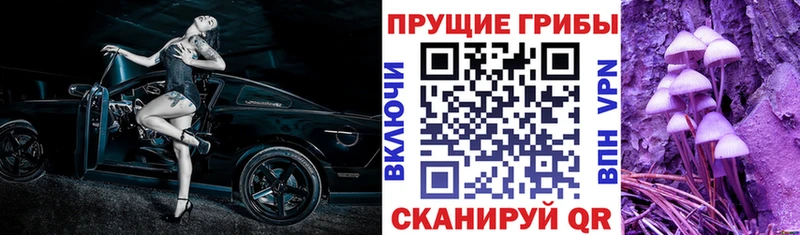 Галлюциногенные грибы Magic Shrooms  где купить наркоту  гидра ONION  Пласт 